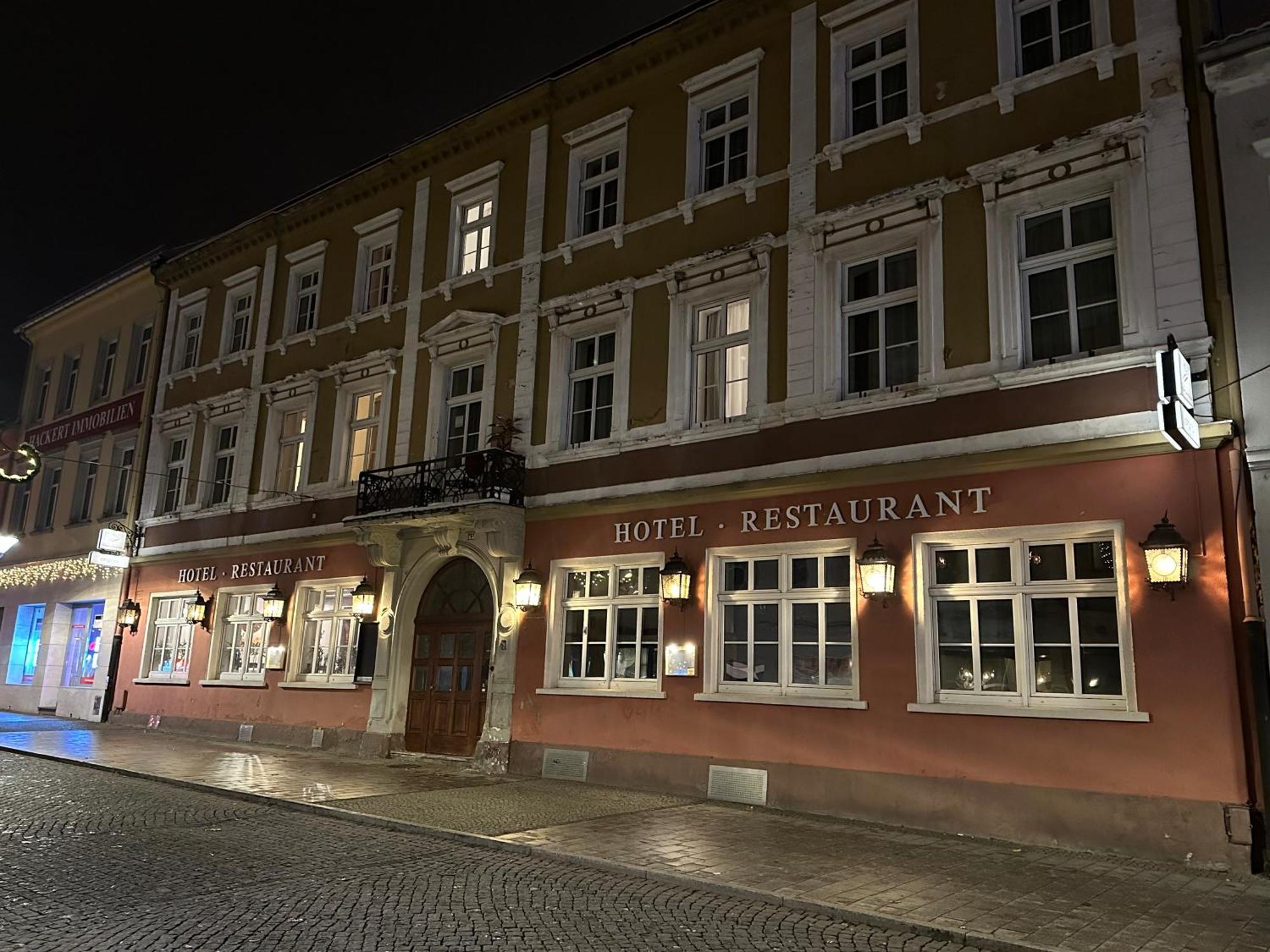Hotel Sachsenhof Riesa Exteriér fotografie